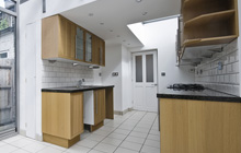 Moneyreagh kitchen extension leads